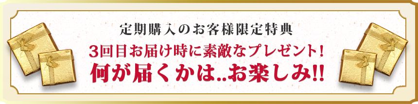 定期購入のお客様限定特典 3回目お届け時にプレゼント!お楽しみに！